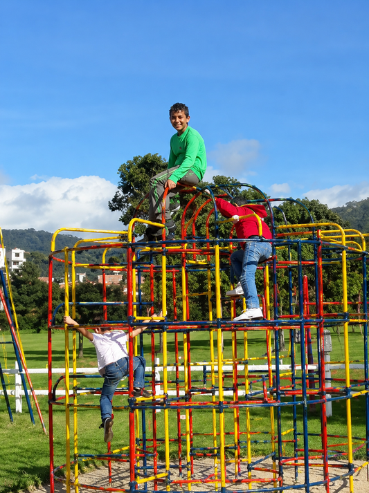 Jungle Gym